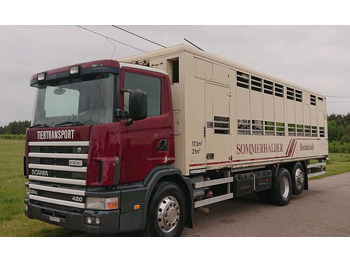 Transporte de ganado camión SCANIA 124