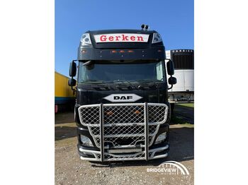 Cabeza tractora DAF XF510: foto 4