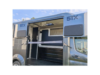 Leasing financiero de STX Ford Transit by Stephex leasing STX Ford Transit by Stephex: foto 5
