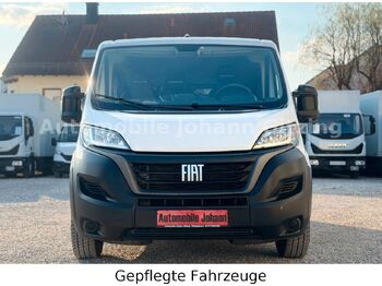 Minibús FIAT Ducato