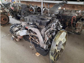 Motor MAN D0836 LFL50 (240HP): foto 2