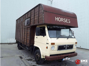 Transporte de ganado camión MAN
