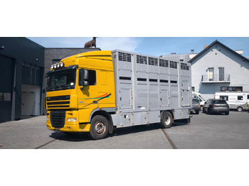 Camión para caballos DAF XF 410 SC Menke Doppelstock: foto 5 Camión para caballos DAF XF 410 SC Menke Doppelstock: foto 5