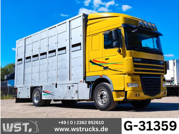 Camión para caballos DAF XF