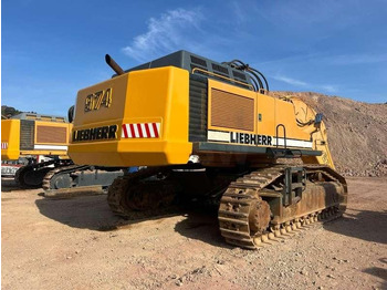 Excavadora de cadenas Liebherr R974B Litronic: foto 4
