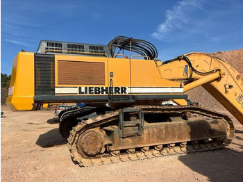 Excavadora de cadenas Liebherr R974B Litronic: foto 2
