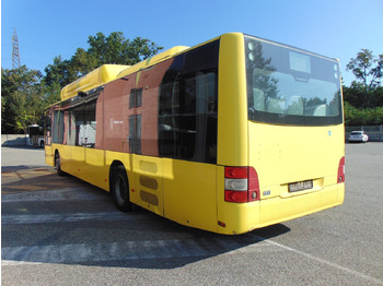 Autobús urbano N.2 MAN A21 CNG – Anno 2010: foto 5 Autobús urbano N.2 MAN A21 CNG – Anno 2010: foto 5