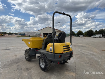 Minidumper 2018 Wacker Neuson 2001 2 t 4x4 Swivel Motobasculeur A ... Dumper: foto 4 Minidumper 2018 Wacker Neuson 2001 2 t 4x4 Swivel Motobasculeur A ... Dumper: foto 4