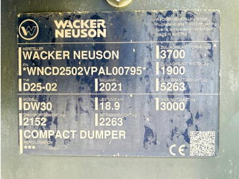 Minidumper Neuson DW30 (3843): foto 3 Minidumper Neuson DW30 (3843): foto 3