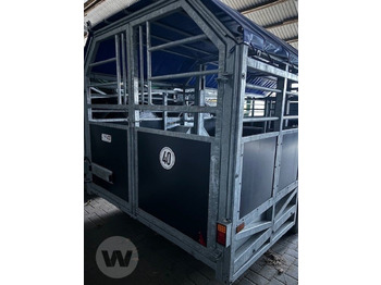 Transporte de ganado remolque nuevo Transportwagen 6 m: foto 5