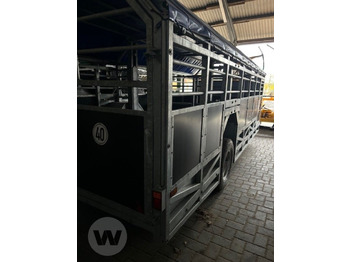 Transporte de ganado remolque nuevo Transportwagen 6 m: foto 4