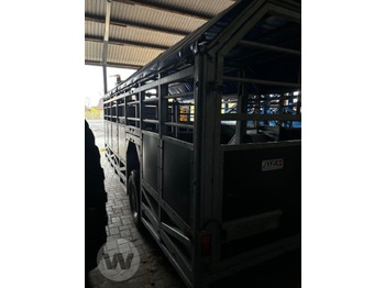 Transporte de ganado remolque nuevo Transportwagen 6 m: foto 2