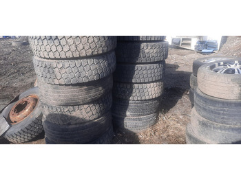 Neumático para Camión Michelin 295*80R22.5 255*70 \ 275*70* 265\70R19.5: foto 4