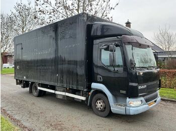 Camión 2005 - DAF - AE45BF - TRUCK: foto 2 Camión 2005 - DAF - AE45BF - TRUCK: foto 2