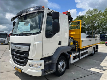 Camión grúa DAF LF 230