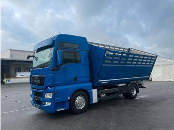 Volquete camión MAN TGX 18.480