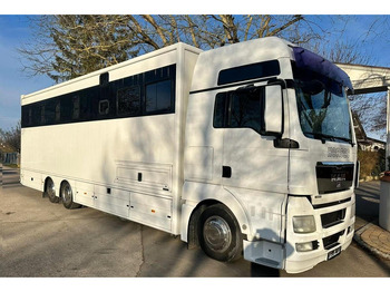 Leasing financiero de MAN TGX 26.440 - Horse transporter leasing MAN TGX 26.440 - Horse transporter: foto 2