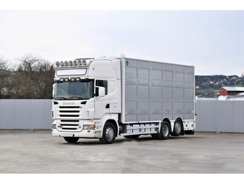 Transporte de ganado camión SCANIA R 500