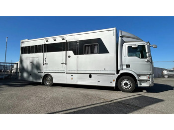 Camión para caballos MAN TGM 15.250