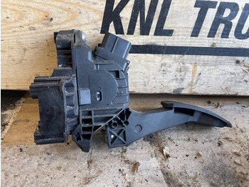 Cabina e interior MAN