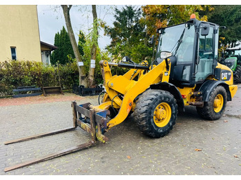 Cargadora de ruedas Caterpillar 907H: foto 3