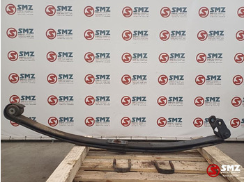 Suspensión de ballestas DAF