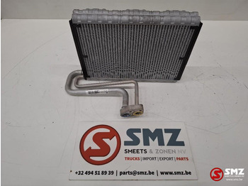 : imagen de cabecera