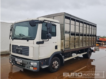 Transporte de ganado camión MAN TGL