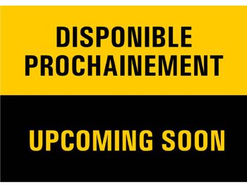 Excavadora de cadenas CATERPILLAR 390