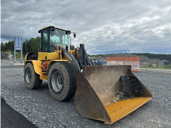Cargadora articulada Volvo L45B 4X4 /245: foto 2