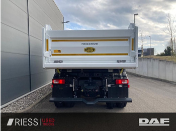 Volquete camión nuevo DAF XFc 480 FAT 6x4 Intarder Bordmatik Trigenius: foto 5