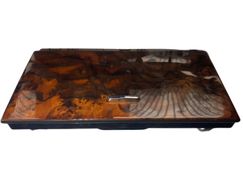 Cabina e interior JAGUAR