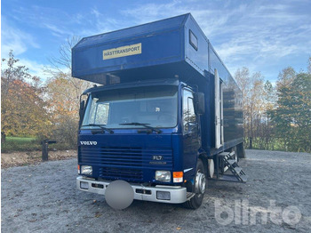 Camión para caballos VOLVO FL7