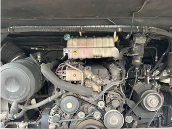 Leasing financiero de MAN R08 Lions Coach L (wenig Km*Behinderten gerecht) MAN R08 Lions Coach L (wenig Km*Behinderten gerecht) leasing MAN R08 Lions Coach L (wenig Km*Behinderten gerecht) MAN R08 Lions Coach L (wenig Km*Behinderten gerecht): foto 4 Leasing financiero de MAN R08 Lions Coach L (wenig Km*Behinderten gerecht) MAN R08 Lions Coach L (wenig Km*Behinderten gerecht) leasing MAN R08 Lions Coach L (wenig Km*Behinderten gerecht) MAN R08 Lions Coach L (wenig Km*Behinderten gerecht): foto 4