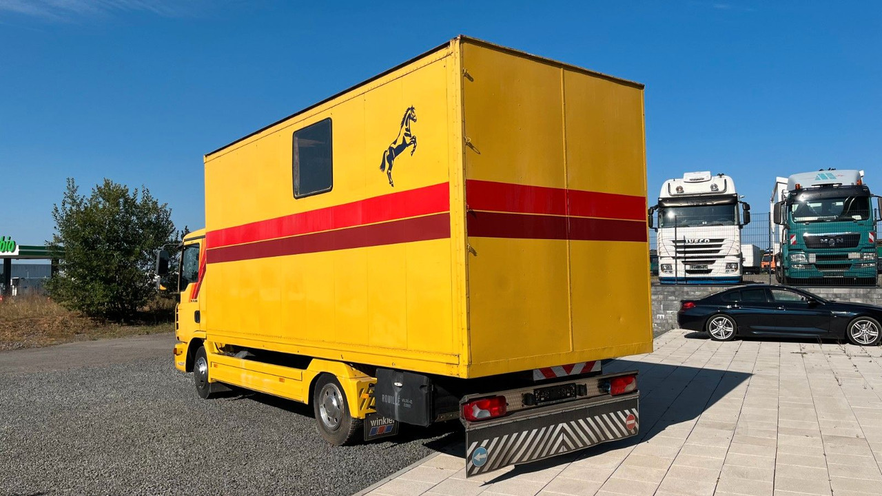 MAN TGL 10.180 Euro 4 Pferdetransporter Horse MAN TGL 10.180 Euro 4 Pferdetransporter Horse - Camión para caballos: foto 5 MAN TGL 10.180 Euro 4 Pferdetransporter Horse MAN TGL 10.180 Euro 4 Pferdetransporter Horse - Camión para caballos: foto 5