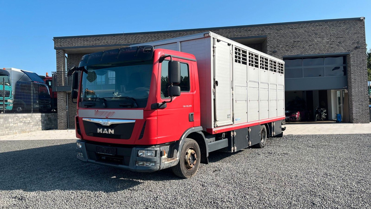 MAN TGL 10.220 Viehtransporter Rampe Trennwände - Camión para caballos: foto 2 MAN TGL 10.220 Viehtransporter Rampe Trennwände - Camión para caballos: foto 2