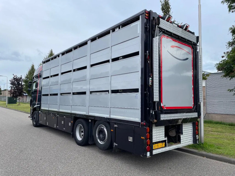 DAF XF 460 2017 berdex 3 lagen varkens - Transporte de ganado camión: foto 2 DAF XF 460 2017 berdex 3 lagen varkens - Transporte de ganado camión: foto 2
