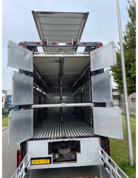 DAF XF 460 2017 berdex 3 lagen varkens - Transporte de ganado camión: foto 3 DAF XF 460 2017 berdex 3 lagen varkens - Transporte de ganado camión: foto 3