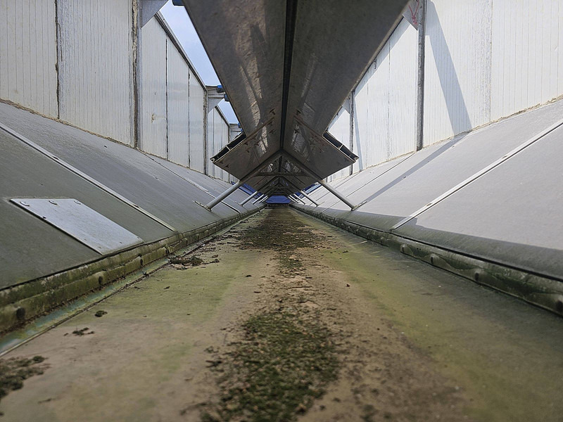 Volquete semirremolque ASCA S322DC 32M3 BANDLOSSER: foto 10