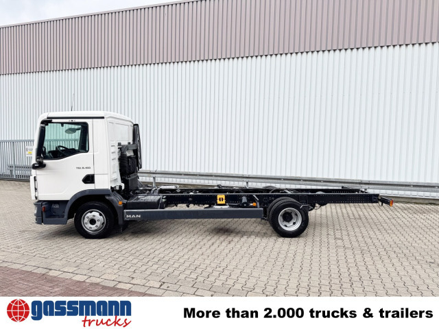 Chasis camión nuevo MAN TGL 8.160 4x2 BL CH: foto 14 Chasis camión nuevo MAN TGL 8.160 4x2 BL CH: foto 14
