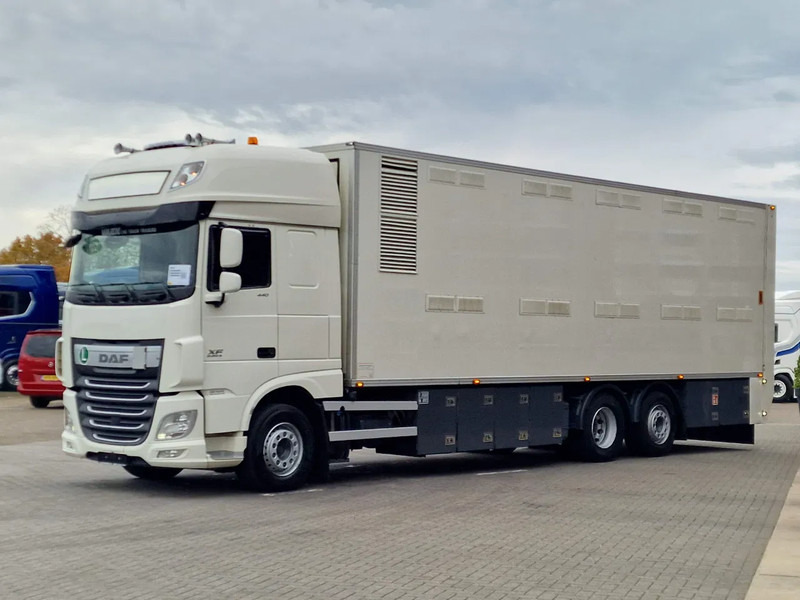DAF XF 440 SuperSpaceCab 6x2*4 - 2 deck Closed Livestock - 40M2 - Filtersystem - Transporte de ganado camión: foto 3 DAF XF 440 SuperSpaceCab 6x2*4 - 2 deck Closed Livestock - 40M2 - Filtersystem - Transporte de ganado camión: foto 3