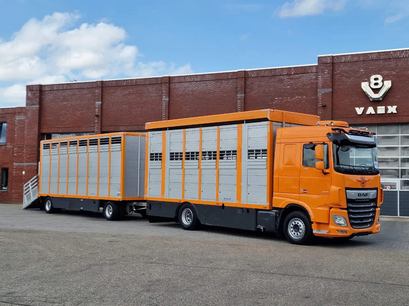 DAF XF 530 4x2 - Livestock Menke + 2018 Menke trailer 2 deck - Water + Ventilation - Lifting roof - Transporte de ganado camión: foto 1 DAF XF 530 4x2 - Livestock Menke + 2018 Menke trailer 2 deck - Water + Ventilation - Lifting roof - Transporte de ganado camión: foto 1