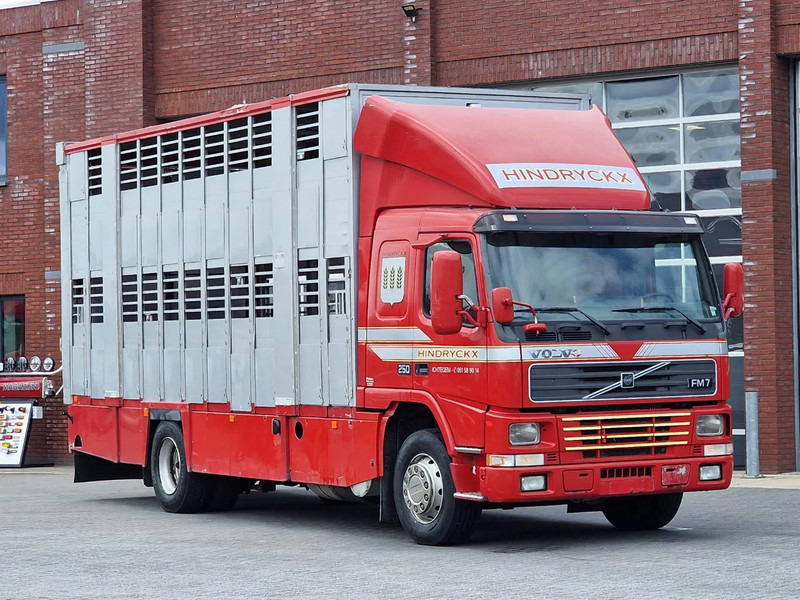 Volvo FM 250 4x- Livestock 2 deck - Lifting floors - Loadlift - Manual gearbox - Transporte de ganado camión: foto 1 Volvo FM 250 4x- Livestock 2 deck - Lifting floors - Loadlift - Manual gearbox - Transporte de ganado camión: foto 1