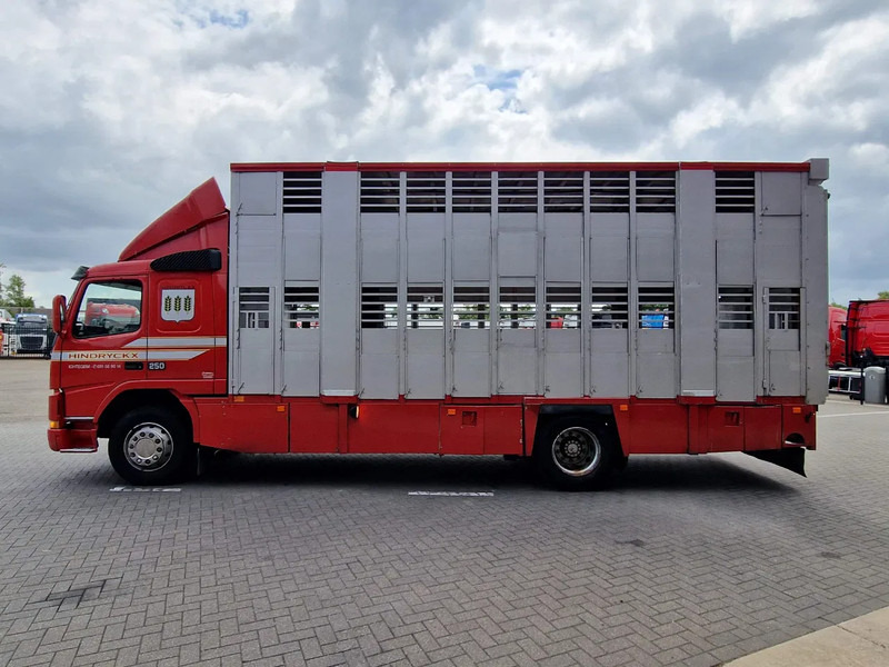 Volvo FM 250 4x- Livestock 2 deck - Lifting floors - Loadlift - Manual gearbox - Transporte de ganado camión: foto 4 Volvo FM 250 4x- Livestock 2 deck - Lifting floors - Loadlift - Manual gearbox - Transporte de ganado camión: foto 4
