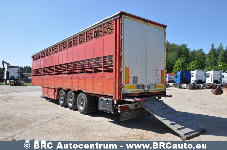 Pezzaioli SCT63U - Transporte de ganado semirremolque: foto 4 Pezzaioli SCT63U - Transporte de ganado semirremolque: foto 4