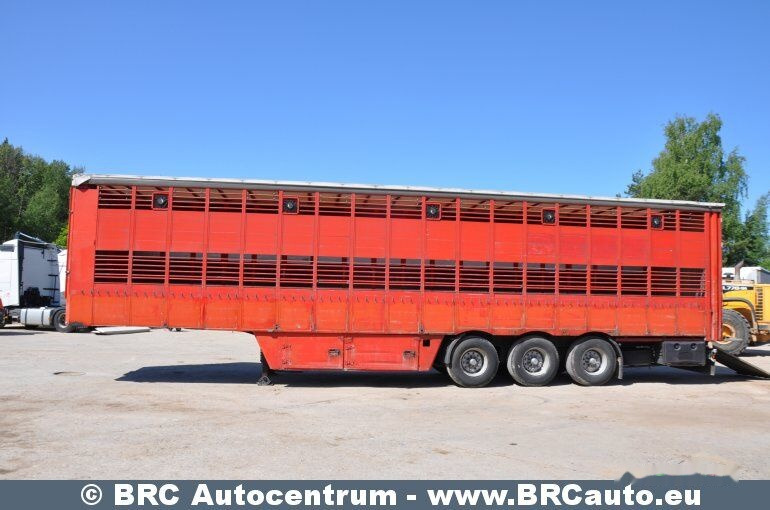 Pezzaioli SCT63U - Transporte de ganado semirremolque: foto 3 Pezzaioli SCT63U - Transporte de ganado semirremolque: foto 3