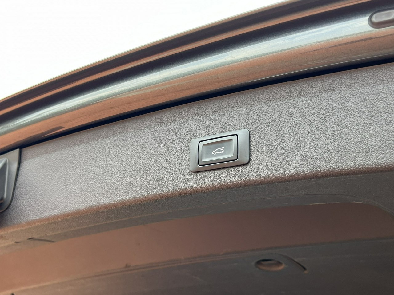 SUV/ Todoterreno Audi SQ5: foto 37