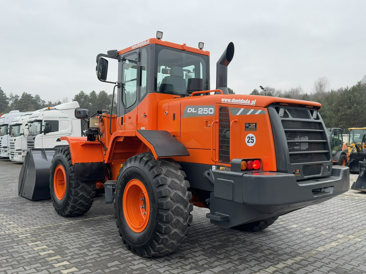 Cargadora de ruedas Doosan DL250 14,5Ton Łyżka Wysokiego Wysypu !!!: foto 14