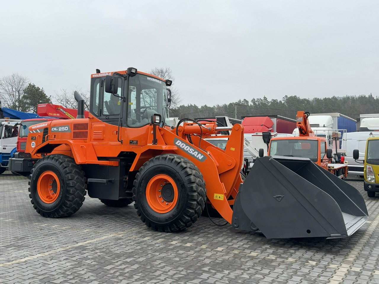Cargadora de ruedas Doosan DL250 14,5Ton Łyżka Wysokiego Wysypu !!!: foto 9