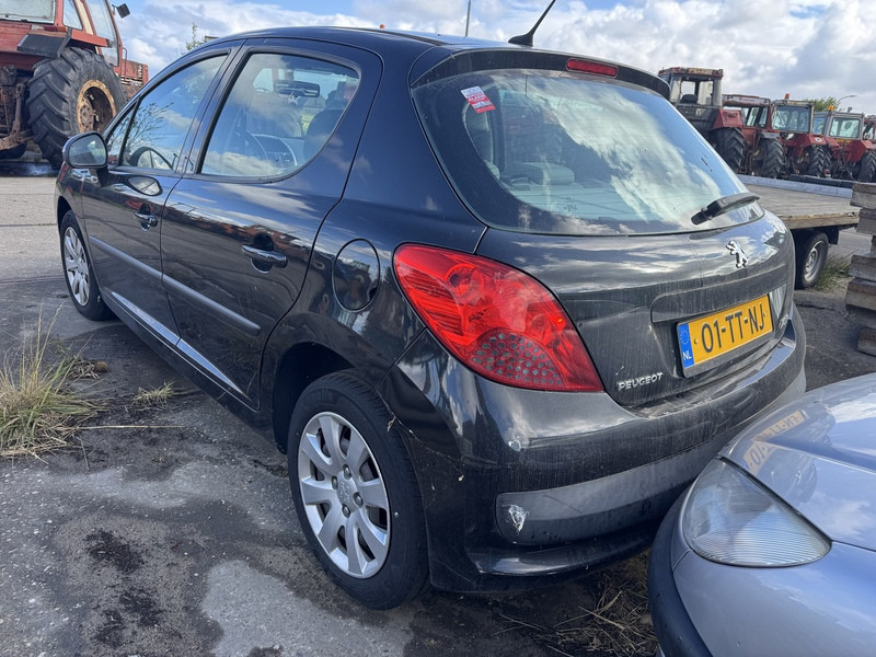 Coche Peugeot 207: foto 8 Coche Peugeot 207: foto 8